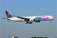 Miguel A. gueda Rguez.  (CANARY ISLANDS SPOTTING). Click to see full size photo