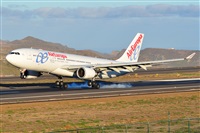 Miguel A. gueda Rguez.  (CANARY ISLANDS SPOTTING). Click to see full size photo