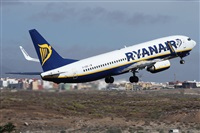 ©Alfonso Solís - Asociación Canary Islands Spotting. Click to see full size photo ©Alfonso Solís - Asociación Canary Islands Spotting. Click to see full size photo
