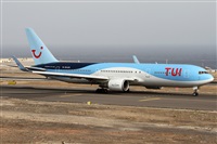 ©Alfonso Solís - Asociación Canary Islands Spotting. Click to see full size photo ©Alfonso Solís - Asociación Canary Islands Spotting. Click to see full size photo