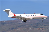 Miguel A. gueda Rguez.  (CANARY ISLANDS SPOTTING). Click to see full size photo