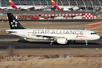 Alfonso Sols - Asociacin Canary Islands Spotting. Click to see full size photo