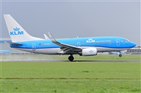 Miguel A. gueda Rguez.  (CANARY ISLANDS SPOTTING). Click to see full size photo