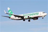 ©Alfonso Solís - Asociación Canary Islands Spotting. Click to see full size photo ©Alfonso Solís - Asociación Canary Islands Spotting. Click to see full size photo