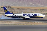 Miguel A. gueda Rguez.  (CANARY ISLANDS SPOTTING). Click to see full size photo