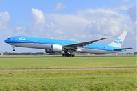 Miguel A. gueda Rguez.  (CANARY ISLANDS SPOTTING). Click to see full size photo