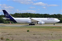 Miguel A. gueda Rguez.  (CANARY ISLANDS SPOTTING). Click to see full size photo