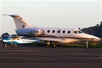 calco7. Click to see full size photo
