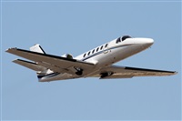 Alfonso Sols - Asociacin Canary Islands Spotting. Haz click para ampliar
