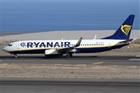 Alfonso Sols - Asociacin Canary Islands Spotting. Click to see full size photo