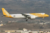 ©Adolfo Bento - Gran Canaria Spotters. Click to see full size photo ©Adolfo Bento - Gran Canaria Spotters. Click to see full size photo