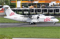 La Roche Spotters. Click to see full size photo