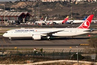 �Sergio Cambronero - Asociaci�n AIRE. Click to see full size photo