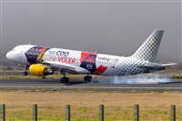 �Miguel A. �gueda Rguez.  (CANARY ISLANDS SPOTTING). Click to see full size photo