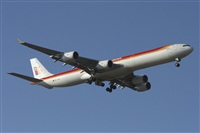 Jos Miguel Bernases - Noisy Spotters. Click to see full size photo