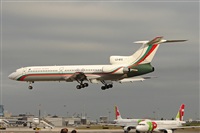 Carlos Moreira  *  PortugalSpotters.org. Click to see full size photo