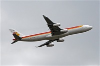 ©La Roche Spotters. Click to see full size photo ©La Roche Spotters. Click to see full size photo