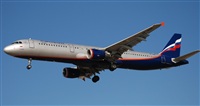 Rubn Gil - Noisy Spotters. Click to see full size photo