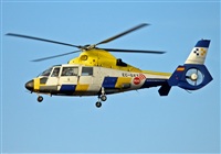 Daniel Vilar - Canary Islands Spotting. Click to see full size photo