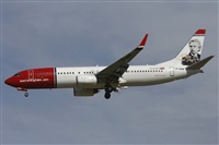 Jos Miguel Bernases - Noisy Spotters. Click to see full size photo