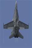 Xavier Larrosa. Click to see full size photo