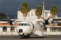 ©Javier de la Cruz - CANARY ISLANDS SPOTTING. Click to see full size photo ©Javier de la Cruz - CANARY ISLANDS SPOTTING. Click to see full size photo