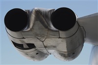 Rodrigo Carvalho - Noisy Spotters. Click to see full size photo