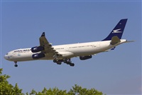 Jos Miguel Bernases - Noisy Spotters. Click to see full size photo