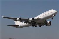 Rodrigo Carvalho - Noisy Spotters. Click to see full size photo