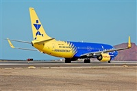 Miguel A. gueda Rguez.  (CANARY ISLANDS SPOTTING). Haz click para ampliar