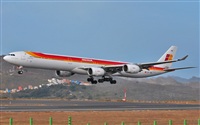 Alejandro Bethencourt (Canary Islands Spotting). Click to see full size photo