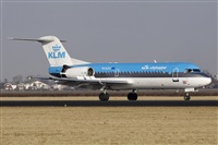 Jos Miguel Bernases - Noisy Spotters. Click to see full size photo