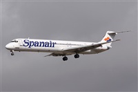 Alfonso Sols - Asociacin Canary Islands Spotting. Click to see full size photo