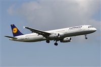 Alfonso Sols - Asociacin Canary Islands Spotting. Haz click para ampliar