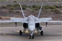 Juan Cruz Menndez-Gran Canaria Spotters. Click to see full size photo