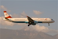 Javier de la Cruz - CANARY ISLANDS SPOTTING. Click to see full size photo