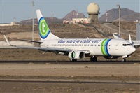 ©Alfonso Solís - Asociación Canary Islands Spotting. Click to see full size photo ©Alfonso Solís - Asociación Canary Islands Spotting. Click to see full size photo