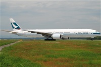 Rubn Gil - Noisy Spotters. Click to see full size photo