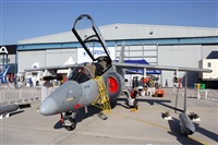 Ral Zamora M. Click to see full size photo