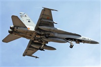 J. Victor Vega-Gran Canaria Spotters. Click to see full size photo
