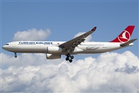 Miguel Alia - Noisy Spotters. Click to see full size photo