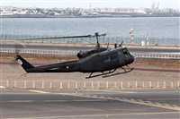 Adrin Alonso Lemes - Lanzarote Spotters. Haz click para ampliar