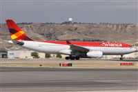 ©Alfonso Solís - Asociación Canary Islands Spotting. Click to see full size photo ©Alfonso Solís - Asociación Canary Islands Spotting. Click to see full size photo
