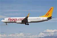 Miguel Alia - Noisy Spotters. Click to see full size photo