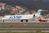 Ayoze Santana Mendez - Canary Islands Spotting. Click to see full size photo