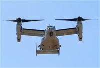 Alejandro H.L - Gran Canaria Spotters. Click to see full size photo