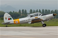Paulo Antunes. Click to see full size photo