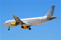 Miguel A. gueda Rguez.  (CANARY ISLANDS SPOTTING). Click to see full size photo