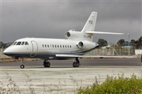 Ayoze Santana Mendez - Canary Islands Spotting. Click to see full size photo