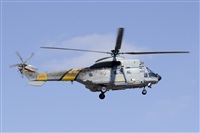 Paco Muoz Arencibia - Gran Canaria Spotters. Click to see full size photo